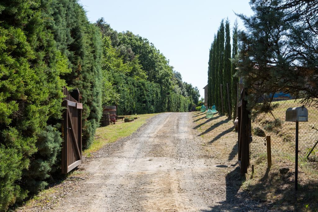 Agriturismo La Vigna San Gimignano Exteriér fotografie